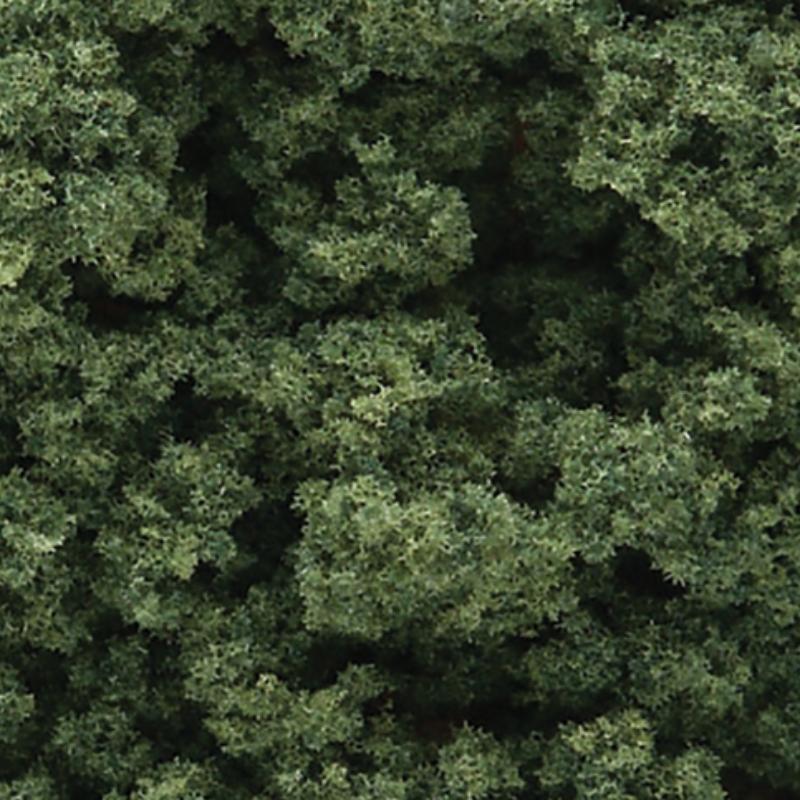Medium Green Clump Foliage