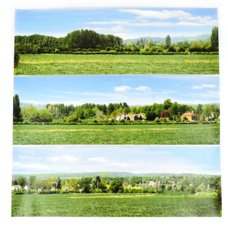 Open Field Small Photo Back Scene (1372 x 152 mm)