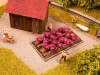 Noch HO Scale Red Cabbages