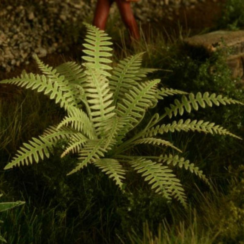 Model Scene Fern