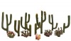 ½”-2½” Classic Cactus Plants 1(3/Pk)
