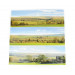 Countryside Small Photo Back Scene (1372 x 152 mm)
