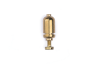 Roundhouse Small Brass Dummy Whistle