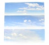 Gaugemaster GM705 Cloudy Sky Large Photo Backscene (2744x304mm)