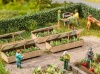 Noch HO Scale Cold Frames with Lettuces
