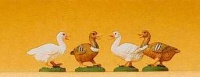 G Scale 4 Ducks