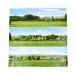 Open Field Small Photo Back Scene (1372 x 152 mm)